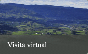 Visita virtual