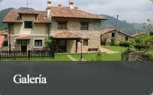 Galer�a