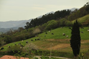 Entorno - Llugarn, Casas de Aldea en Villaviciosa, Asturias